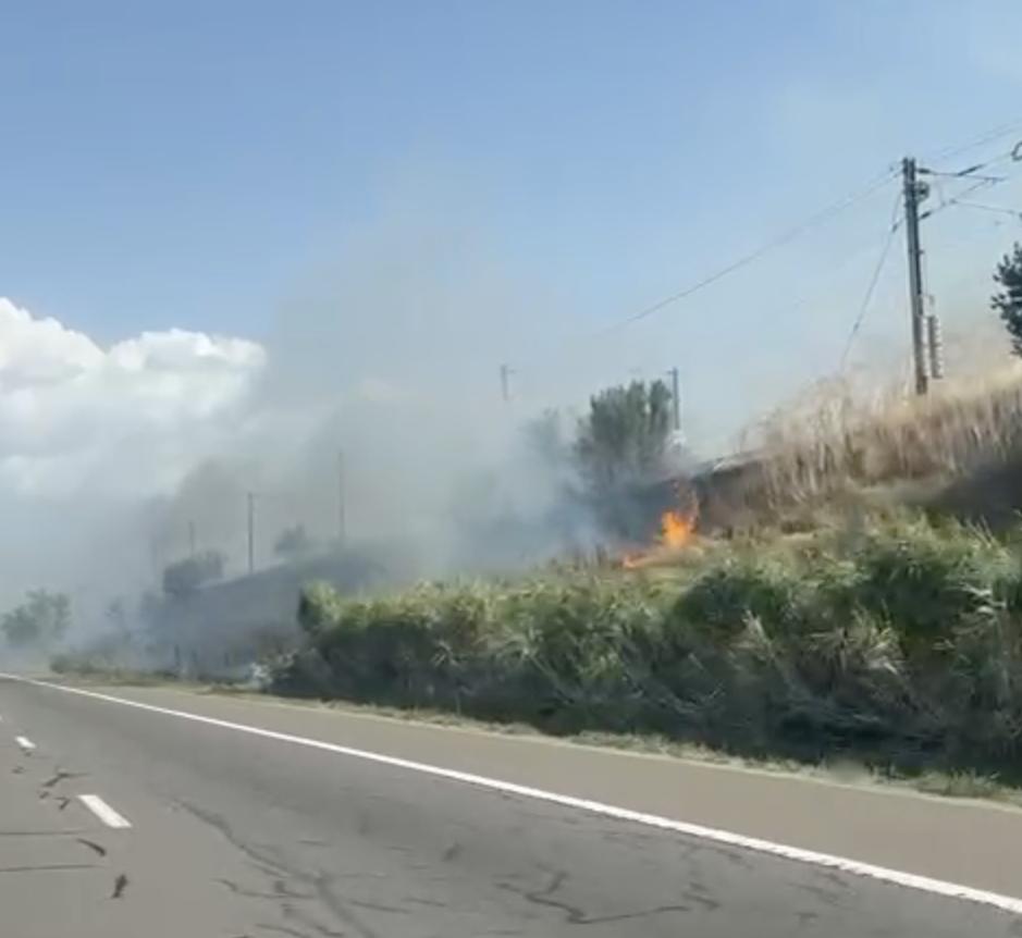Incendiu de vegetație lângă Autostrada A2, la Podul Cernavodă: Șoferii au filmat focul. Circulația trenurilor a fost oprită 918971