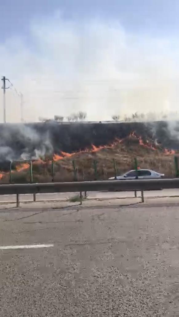 Incendiu de vegetație lângă Autostrada A2, la Podul Cernavodă: Șoferii au filmat focul. Circulația trenurilor a fost oprită 918982