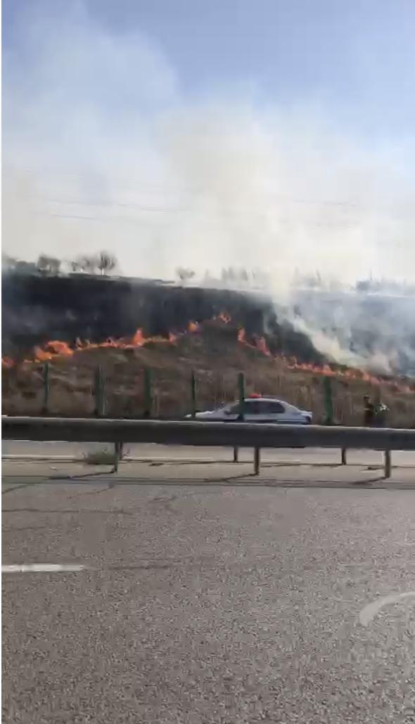 Incendiu de vegetație lângă Autostrada A2, la Podul Cernavodă: Șoferii au filmat focul. Circulația trenurilor a fost oprită 918983