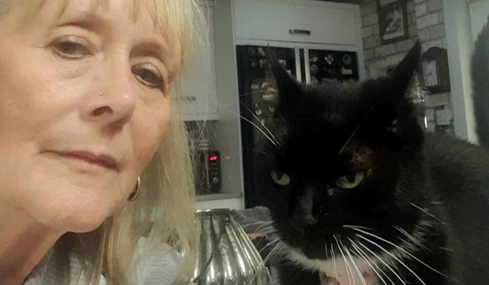 Cine este Taboo, felina cleptomană care îşi lasă vecinii fără șosete, cămăşi și lenjerie intimă 919157