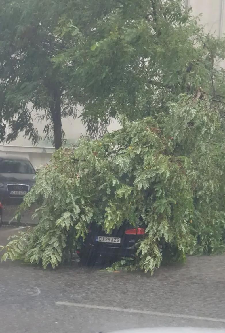 Imagini după prăpădul făcut de ploile torențiale în Cluj: Șosele inundate și copaci rupți. O mașină a fost scufundată 919763