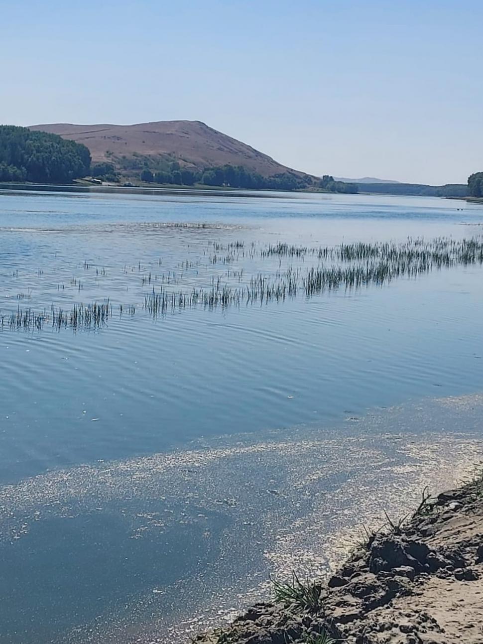 Încă două râuri din România au secat complet. Imagini dramatice făcute publice de Apele Române 919616
