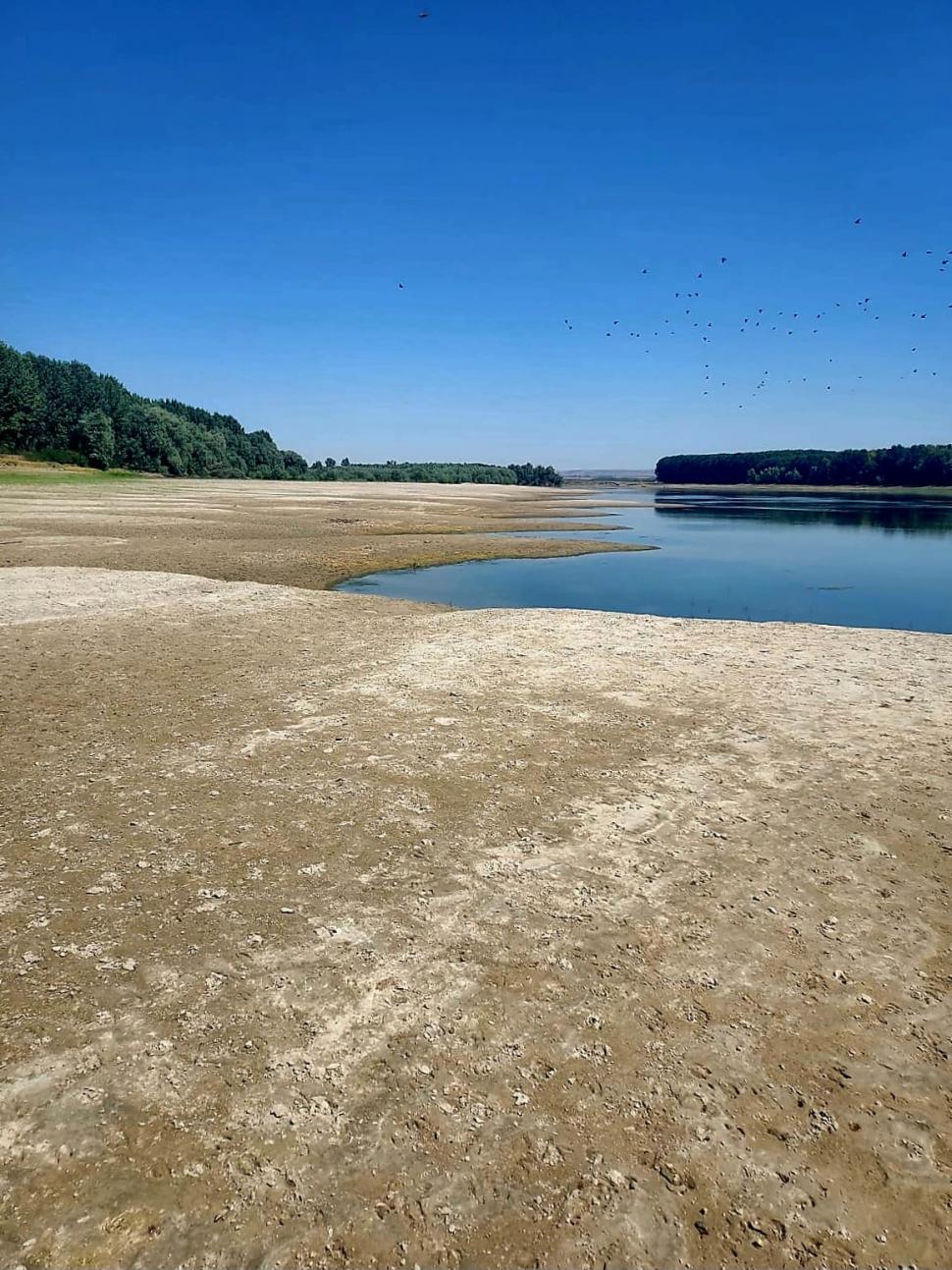 Încă două râuri din România au secat complet. Imagini dramatice făcute publice de Apele Române 919619