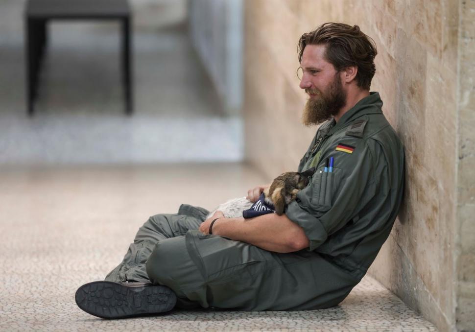 Șase cățeluși încearcă să-și găsească o familie la BIAS 2024. Piloții îi îndeamnă pe oameni să-i adopte 920363