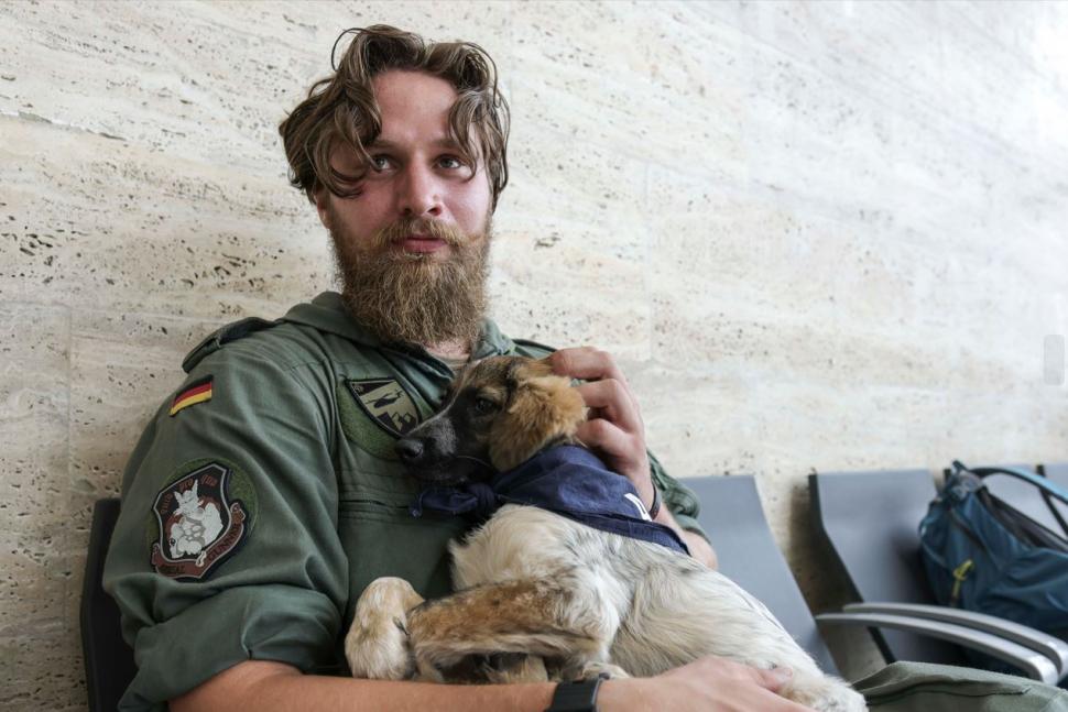 Șase cățeluși încearcă să-și găsească o familie la BIAS 2024. Piloții îi îndeamnă pe oameni să-i adopte 920364