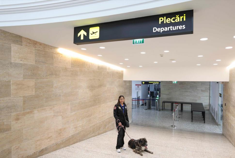 Șase cățeluși încearcă să-și găsească o familie la BIAS 2024. Piloții îi îndeamnă pe oameni să-i adopte 920365