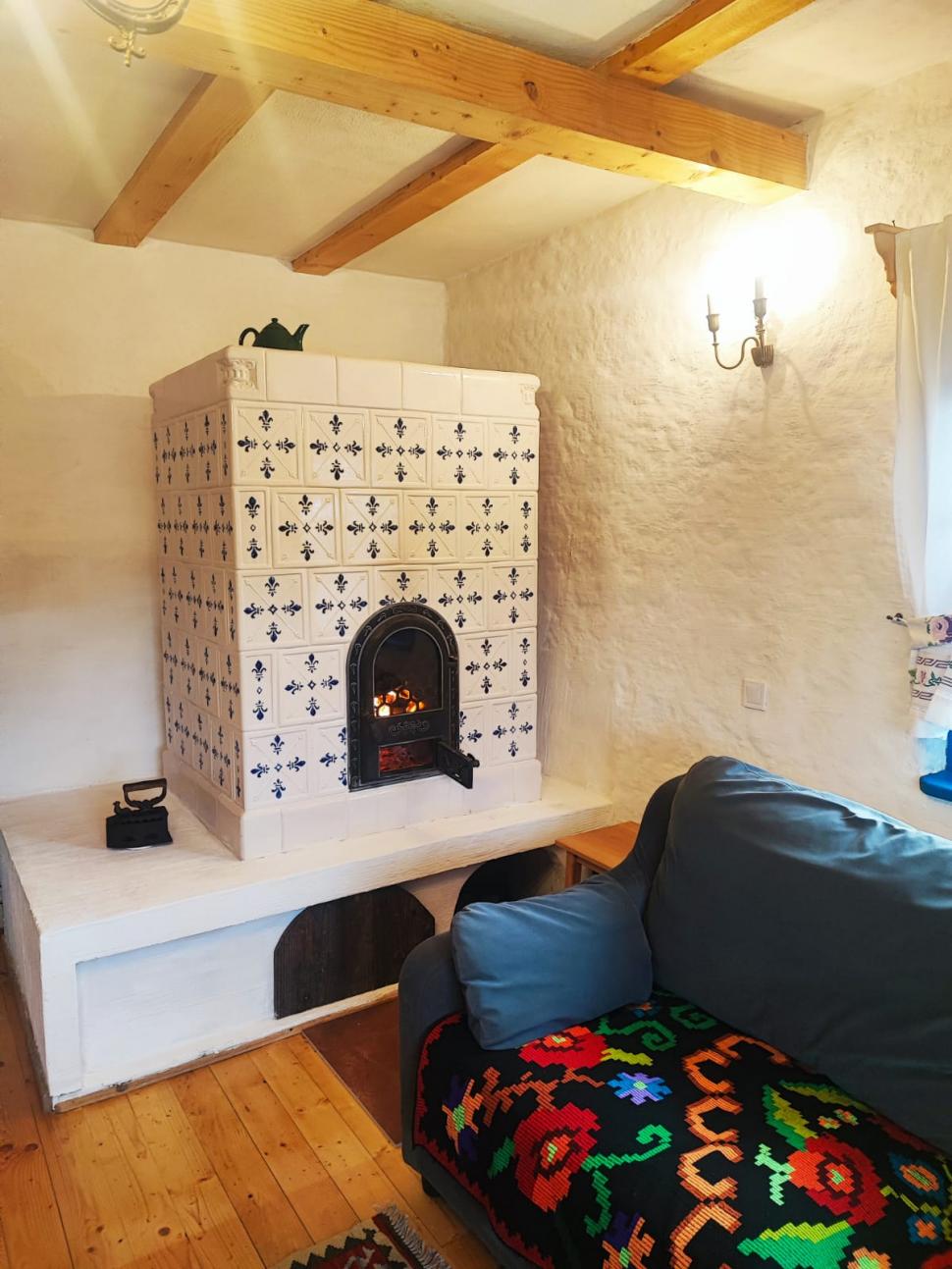 Căsuța din copac care a ajuns virală pe internet: Doi soți, corporatiști din București, au construit „Cuibul” într-un sat din Prahova 919648