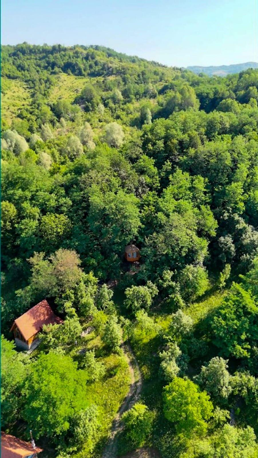 Căsuța din copac care a ajuns virală pe internet: Doi soți, corporatiști din București, au construit „Cuibul” într-un sat din Prahova 919667