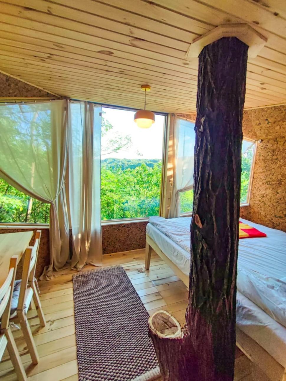 Căsuța din copac care a ajuns virală pe internet: Doi soți, corporatiști din București, au construit „Cuibul” într-un sat din Prahova 919668