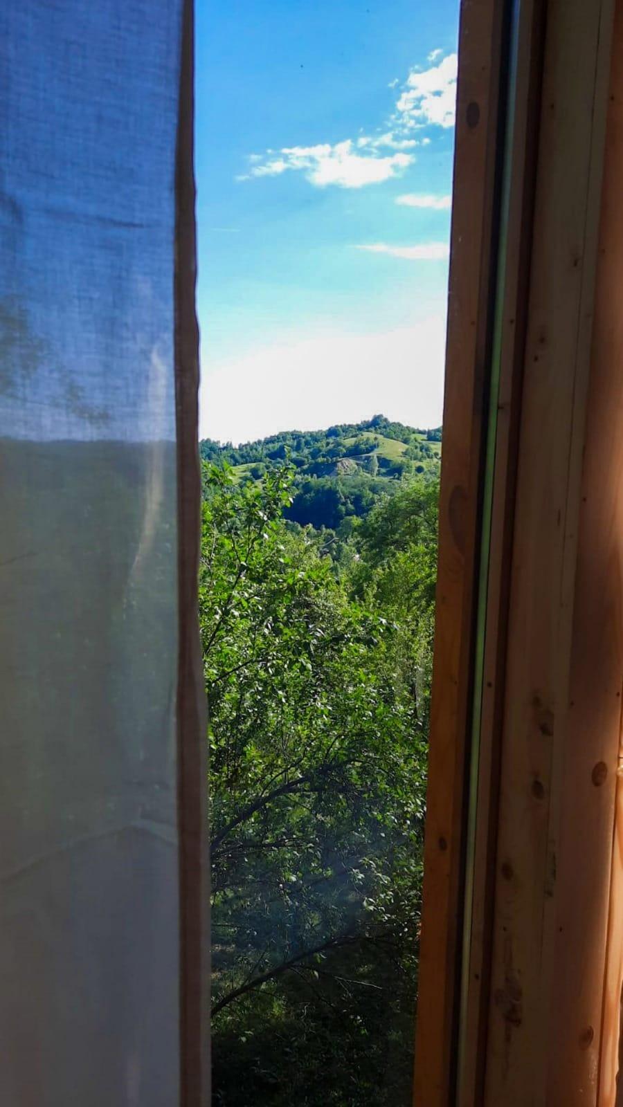 Căsuța din copac care a ajuns virală pe internet: Doi soți, corporatiști din București, au construit „Cuibul” într-un sat din Prahova 919907