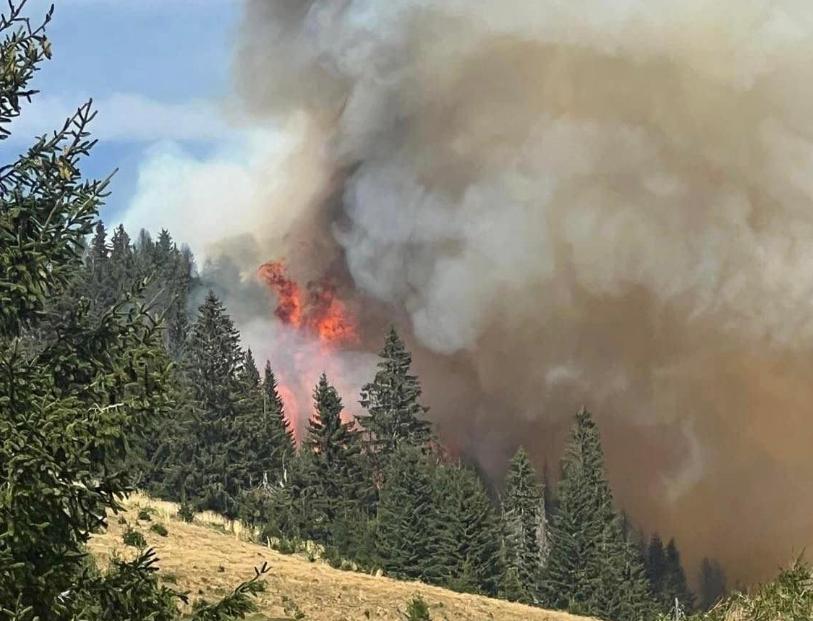 Incendii uriașe în cinci județe, sute de pompieri intervin, elicoptere și avioane ridicate de la sol. Păduri arse, un cimitir pârjolit 921132