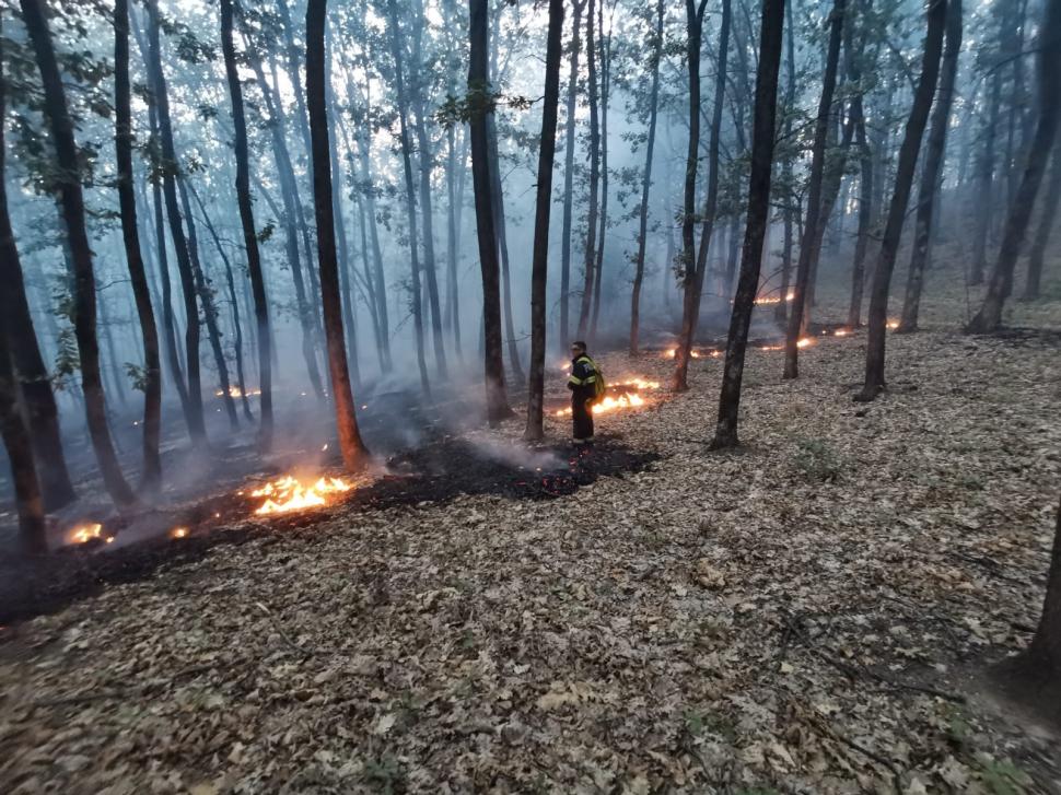 Incendii uriașe în cinci județe, sute de pompieri intervin, elicoptere și avioane ridicate de la sol. Păduri arse, un cimitir pârjolit 921134