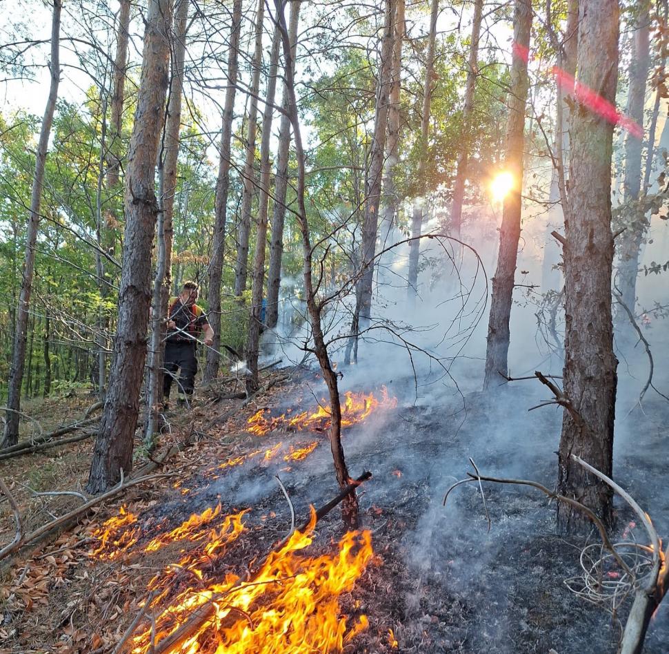 Incendii uriașe în cinci județe, sute de pompieri intervin, elicoptere și avioane ridicate de la sol. Păduri arse, un cimitir pârjolit 921135