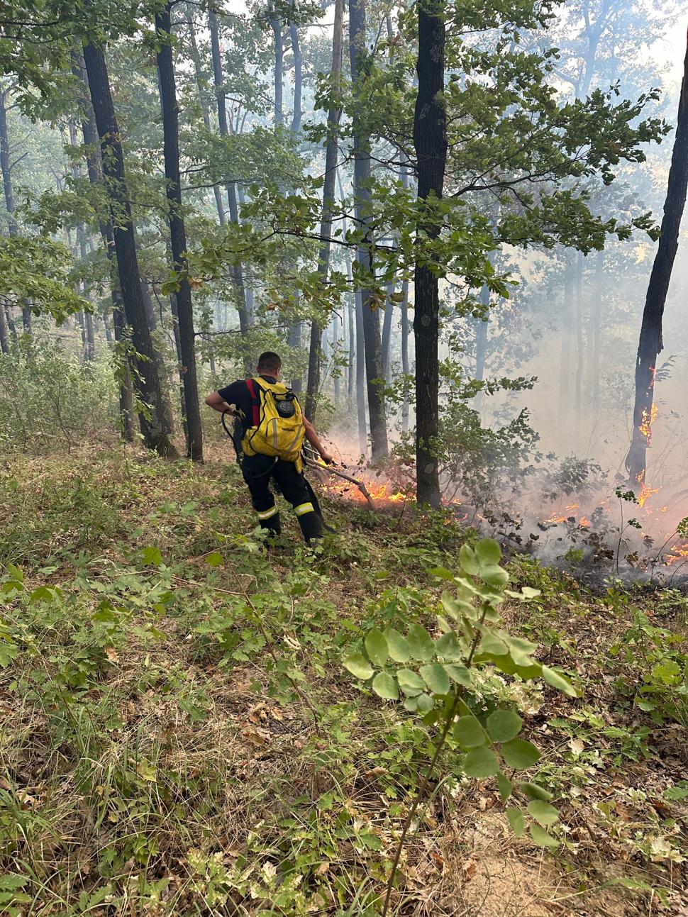 Incendii uriașe în cinci județe, sute de pompieri intervin, elicoptere și avioane ridicate de la sol. Păduri arse, un cimitir pârjolit 921136