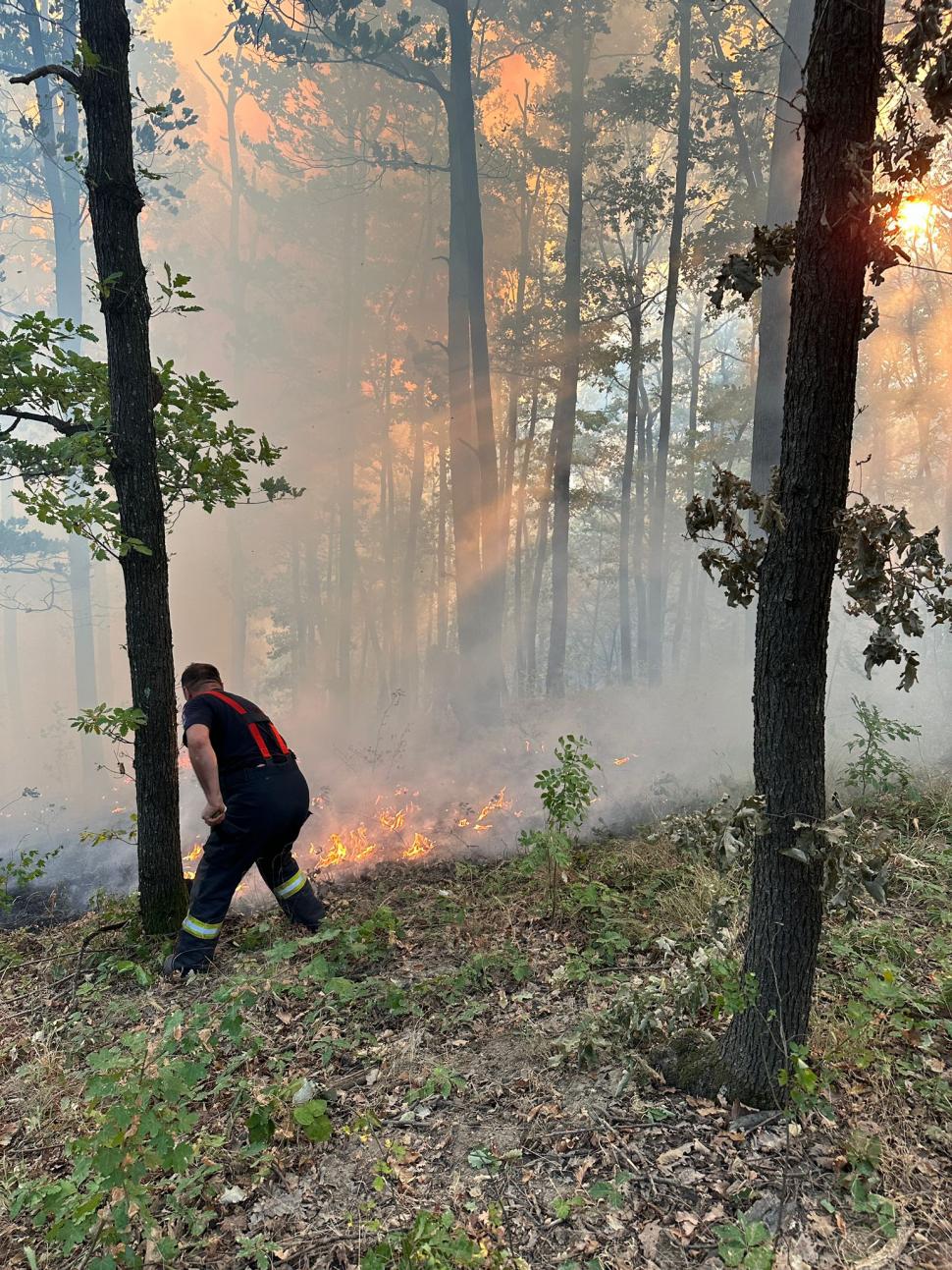 Incendii uriașe în cinci județe, sute de pompieri intervin, elicoptere și avioane ridicate de la sol. Păduri arse, un cimitir pârjolit 921137