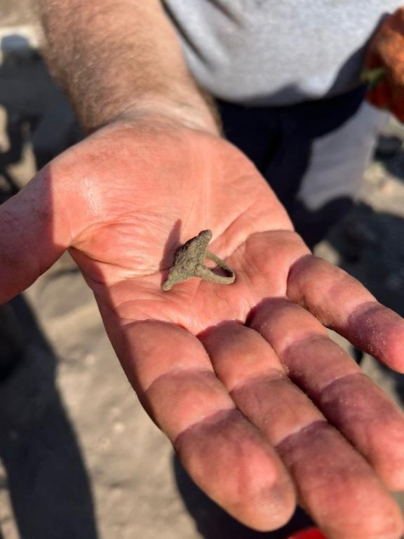 Descoperire arheologică rară, în Scoția: Un „amator entuziast” a găsit un inel antic „remarcabil” îngropat timp de peste 1.000 de ani 921268