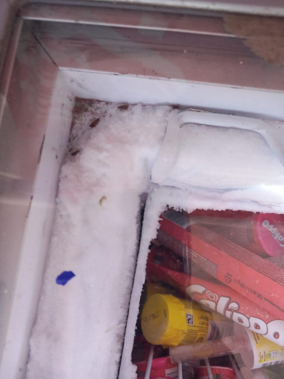 34 de tone de alimente congelate din magazinele din România nu sunt conforme. ANPC a retras de la vânzare peste 27 de tone de produse 921569