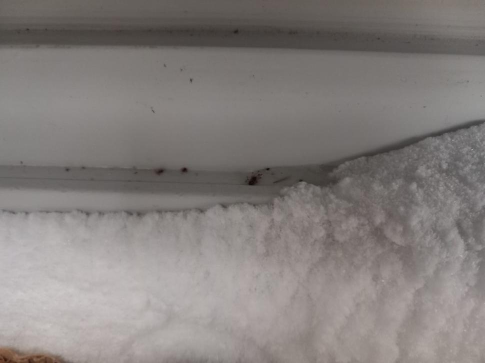 34 de tone de alimente congelate din magazinele din România nu sunt conforme. ANPC a retras de la vânzare peste 27 de tone de produse 921570