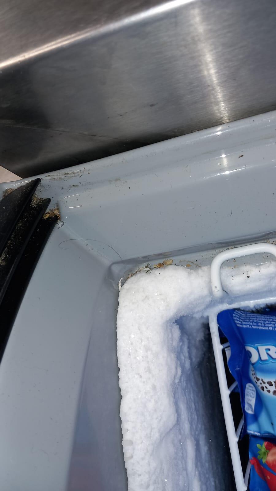 34 de tone de alimente congelate din magazinele din România nu sunt conforme. ANPC a retras de la vânzare peste 27 de tone de produse 921573