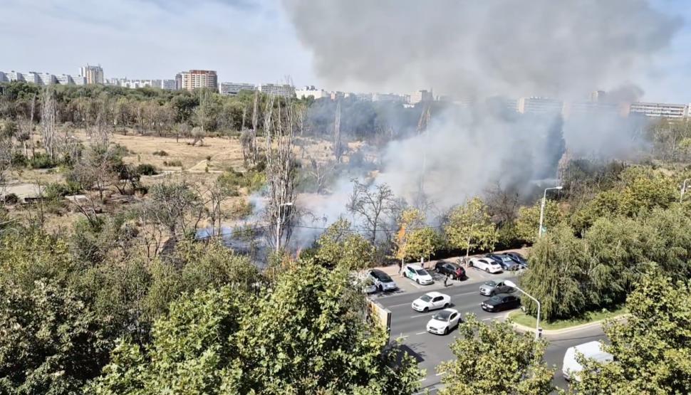 UPDATE. Un nou incendiu puternic în Parcul IOR din București: Ard 20.000 de mp de vegetație, pompierii intervin la fața locului 921999