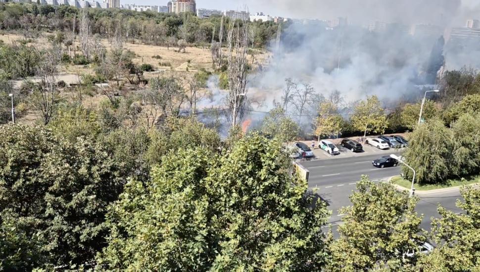 UPDATE. Un nou incendiu puternic în Parcul IOR din București: Ard 20.000 de mp de vegetație, pompierii intervin la fața locului 922000