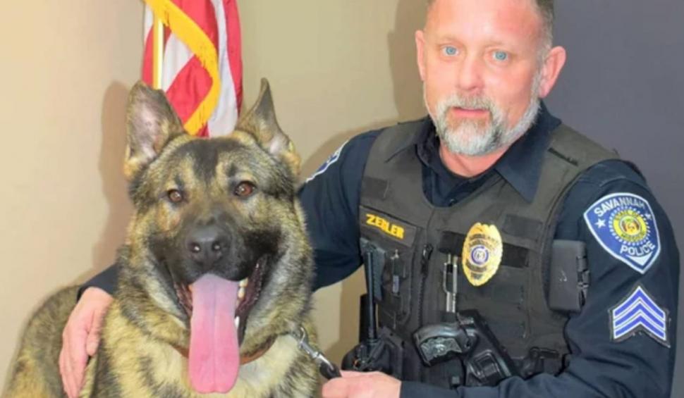 Un câine poliţist a murit din cauza căldurii după ce a fost lăsat în autospeciala de poliţie de stăpânul său 922272