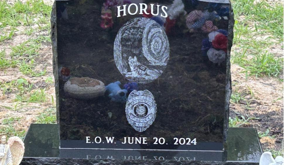 Un câine poliţist a murit din cauza căldurii după ce a fost lăsat în autospeciala de poliţie de stăpânul său 922274