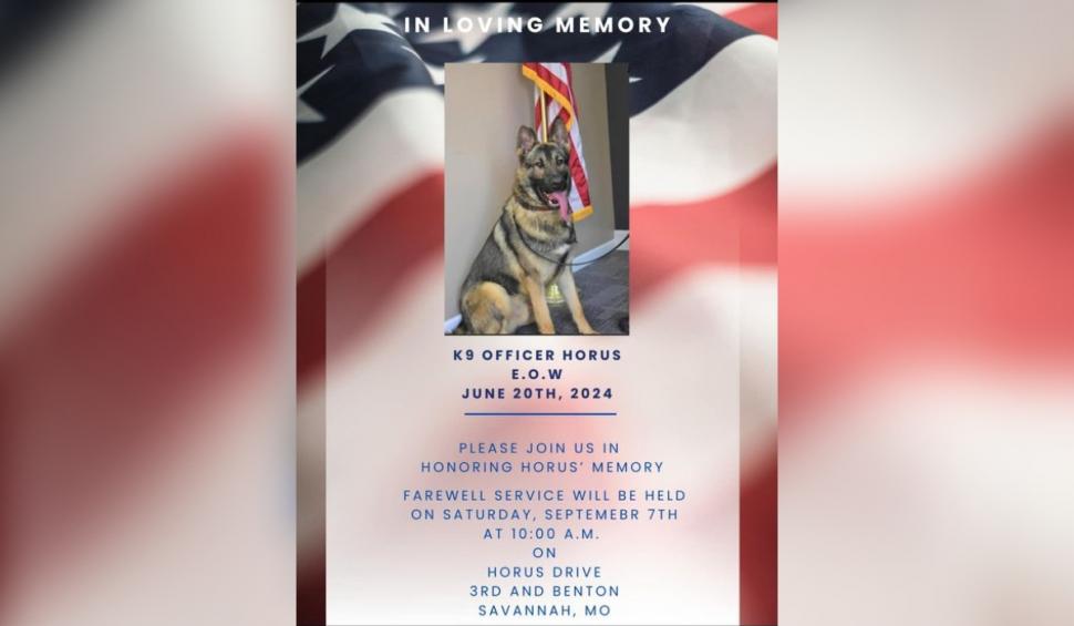 Un câine poliţist a murit din cauza căldurii după ce a fost lăsat în autospeciala de poliţie de stăpânul său 922275