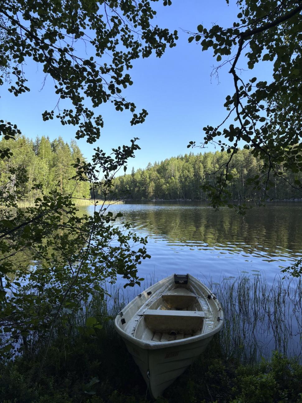 A renunțat la viața din SUA și și-a cumpărat o insulă în Finlanda cu banii de-o garsonieră confort redus în România 922457