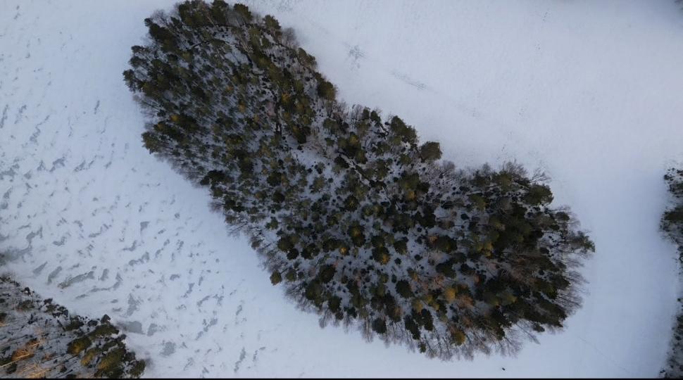 A renunțat la viața din SUA și și-a cumpărat o insulă în Finlanda cu banii de-o garsonieră confort redus în România 922468