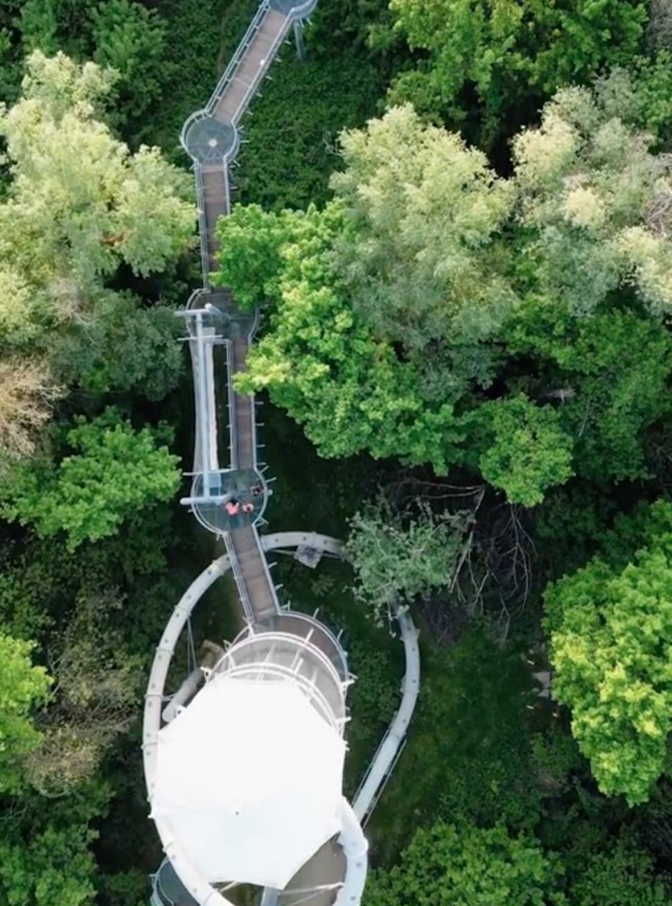 Loc uluitor la numai o oră de Arad. Aleea Cununilor este spectaculoasă 923519