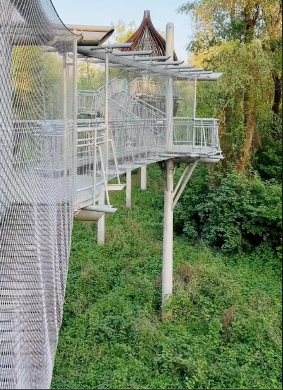 Loc uluitor la numai o oră de Arad. Aleea Cununilor este spectaculoasă 923522