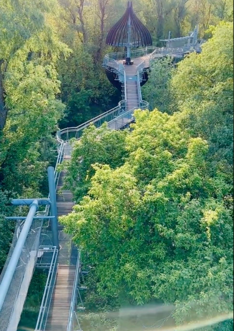 Loc uluitor la numai o oră de Arad. Aleea Cununilor este spectaculoasă 923523