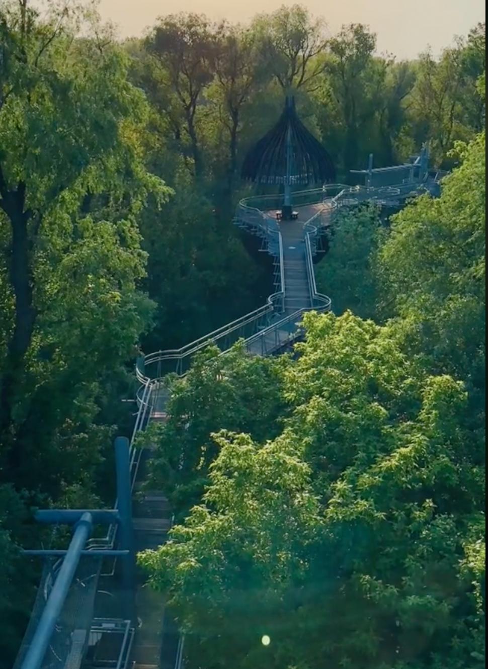 Loc uluitor la numai o oră de Arad. Aleea Cununilor este spectaculoasă 923524