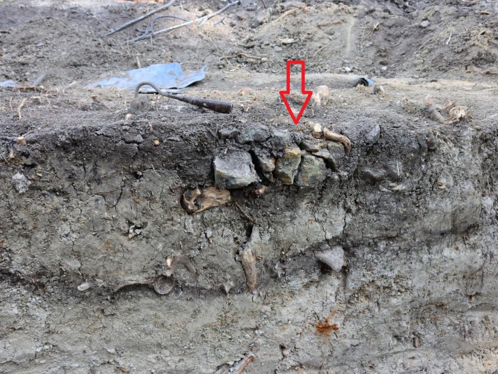 Mormântul unui „copil vampir” a fost descoperit de muncitorii care scoteau din pământ rădăcini lângă o biserică istorică din Polonia 923716