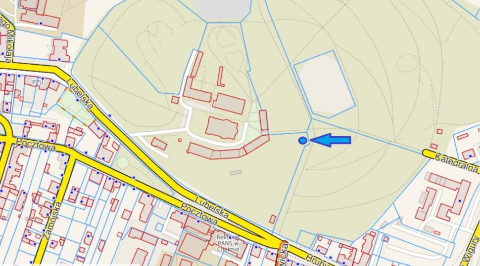 Mormântul unui „copil vampir” a fost descoperit de muncitorii care scoteau din pământ rădăcini lângă o biserică istorică din Polonia 923723