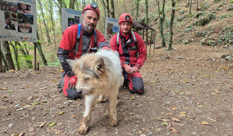 „Învăţătură...să nu păţiţi ca Bobiţă". Un câine căzut într-o galerie din peștera Meziad a fost salvat de speologi 924217