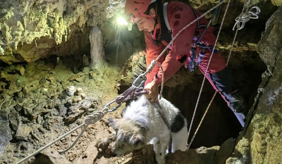 „Învăţătură...să nu păţiţi ca Bobiţă". Un câine căzut într-o galerie din peștera Meziad a fost salvat de speologi 924219