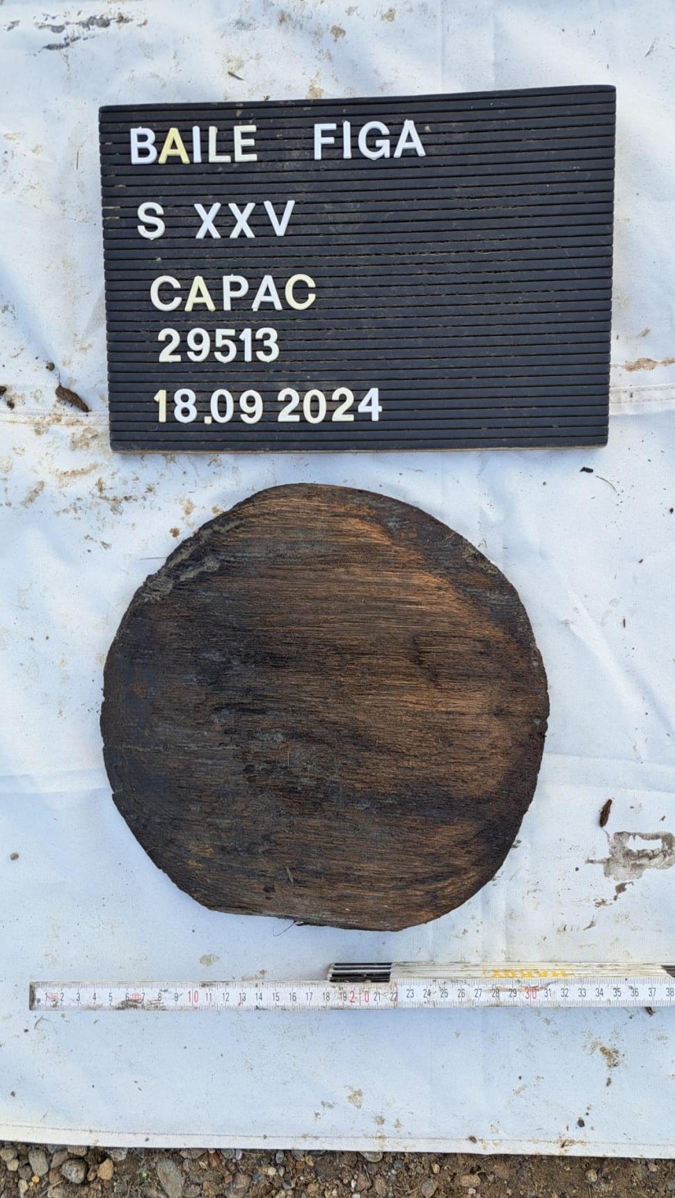 Descoperire arheologică importantă, la Băile Figa: Imagini cu artefacte de lemn, vechi de 3.000 de ani, „excepţional de bine păstrate” 924514