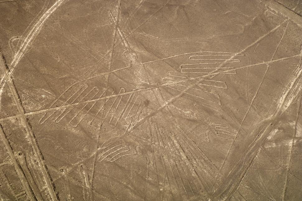 Sute de linii Nazca, descoperite de inteligența artificială. Desenele antice pot fi văzute doar din cer 924948