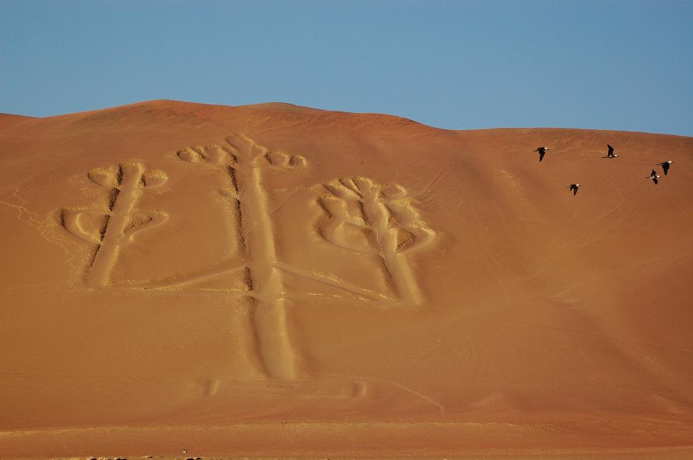 Sute de linii Nazca, descoperite de inteligența artificială. Desenele antice pot fi văzute doar din cer 924961