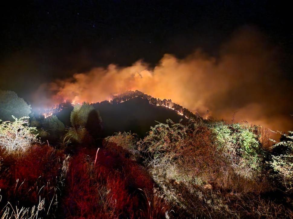 Incendiu uriaș într-o pădure de pini, la Vințu de Jos. Focul s-a extins pe zece hectare 925800