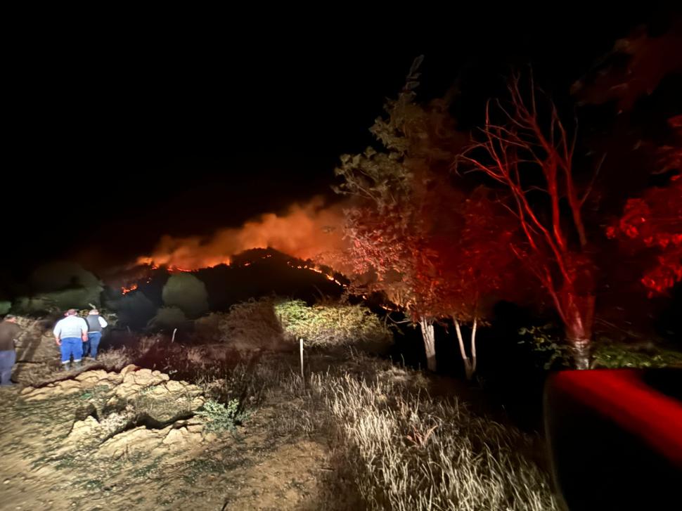 Incendiu uriaș într-o pădure de pini, la Vințu de Jos. Focul s-a extins pe zece hectare 925801