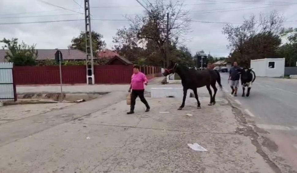 Oamenii evacuați din cauza inundațiilor sunt aduși înapoi acasă cu mașinile pompierilor 925937