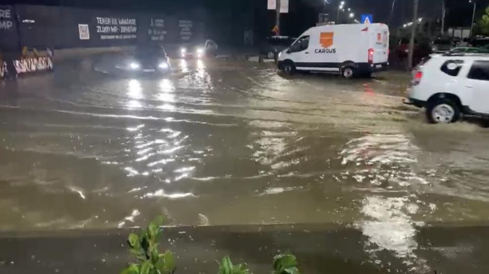 Efectele furtunii în București: șosele inundate, trafic blocat și copaci rupți. O stradă s-a surpat. Mai multe mașini au fost avariate 925972