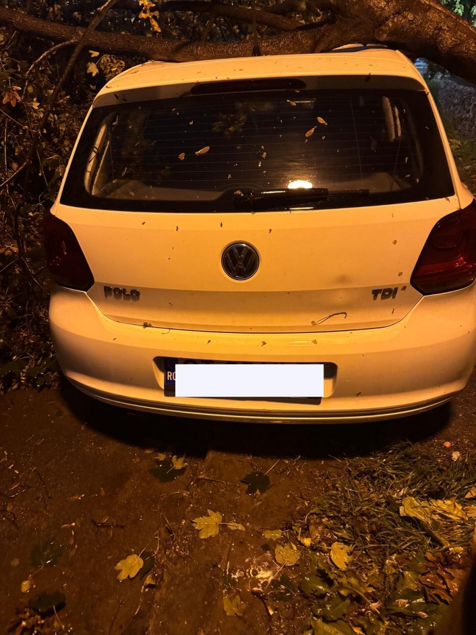 Cod roșu de ploi torențiale în Constanța. Mesaj RO-Alert: „Evitați deplasările”. Străzi inundate, copaci rupți și mașini avariate 926226