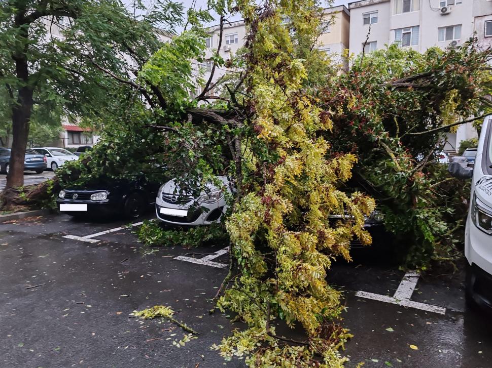 Cod roșu de ploi torențiale în Constanța. Mesaj RO-Alert: „Evitați deplasările”. Străzi inundate, copaci rupți și mașini avariate 926227