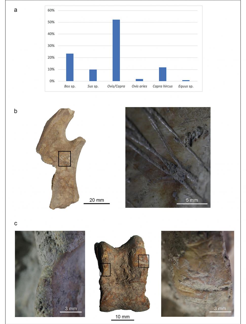 Descoperire arheologică unică, în Maroc: Urmele unei societăți antice necunoscute, cât Troia de mare, au fost găsite într-un sit uitat 926181
