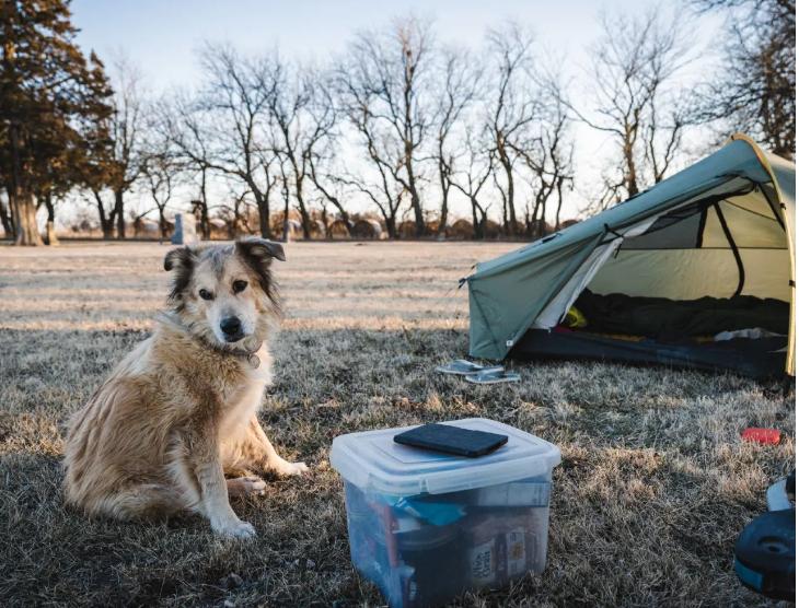Un bărbat și câinele lui au mers pe jos în jurul lumii timp de 7 ani. Cea mai dureroasă provocare a fost atunci când s-au întors acasă 926572