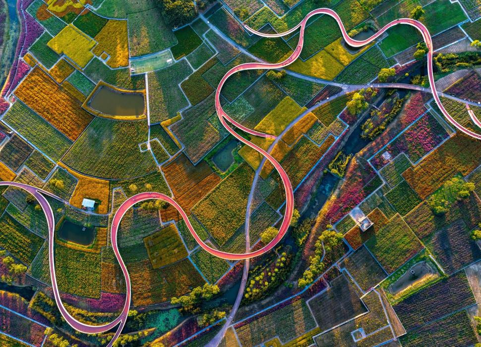 Imagini spectaculoase cu câmpurile colorate din Suqian. Lumea este atrasă ca un magnet de locul care până de curând a fost o ruină 927416